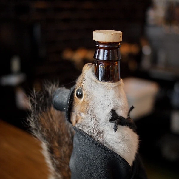 A bottle inside a stuffed squirrel